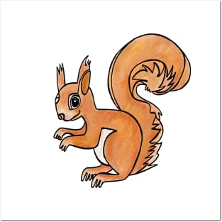 Eichhoernchen Red Squirrel Posters and Art